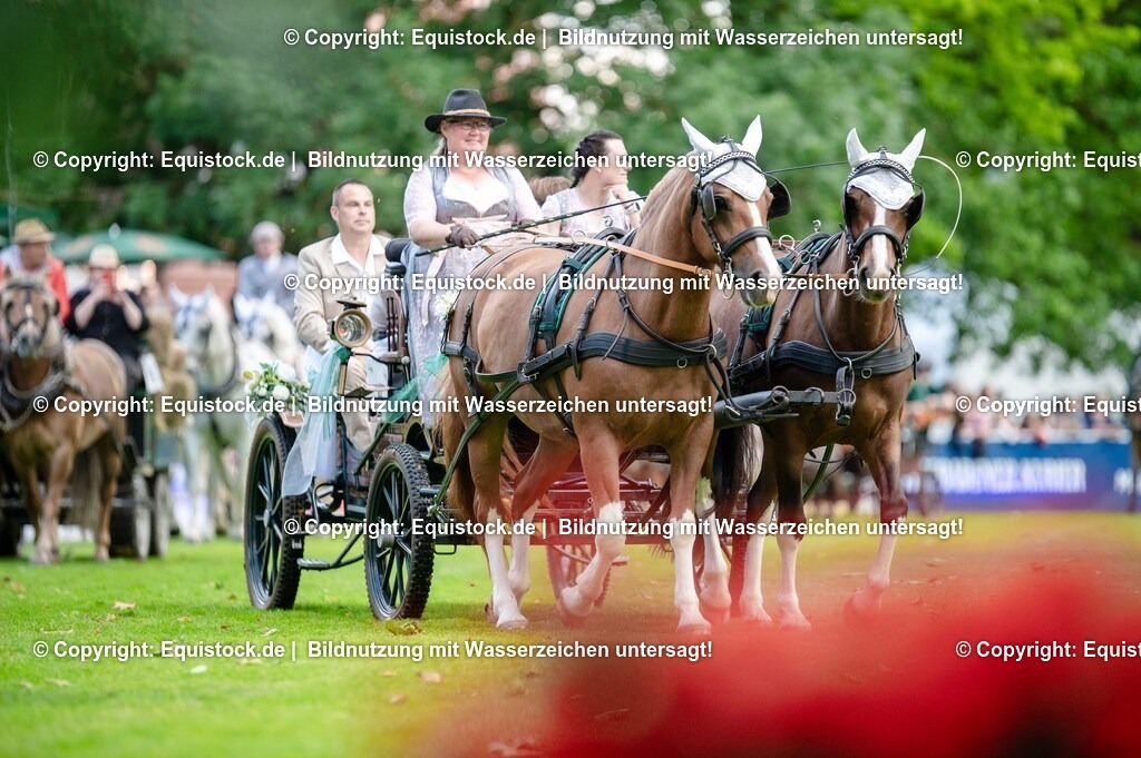 20250606_Lange-Pferdenacht_0153 | Foto: Thomas Hartig