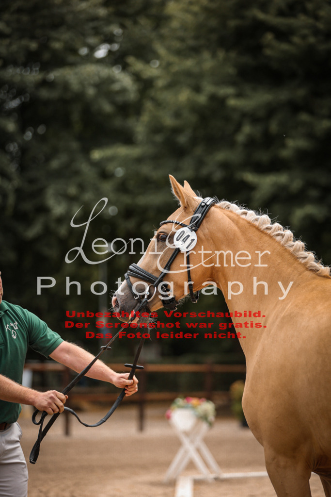 8.So00015 | Leoni Ertmer Photography - Realisiert mit Pictrs.com