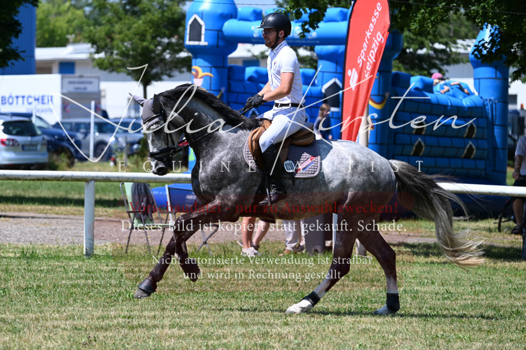 DSC_0553 | Pferde- und Turnierfotografie in Westsachsen. Pferdeportraits, Auftragszeichnungen und intuitive Kunst.