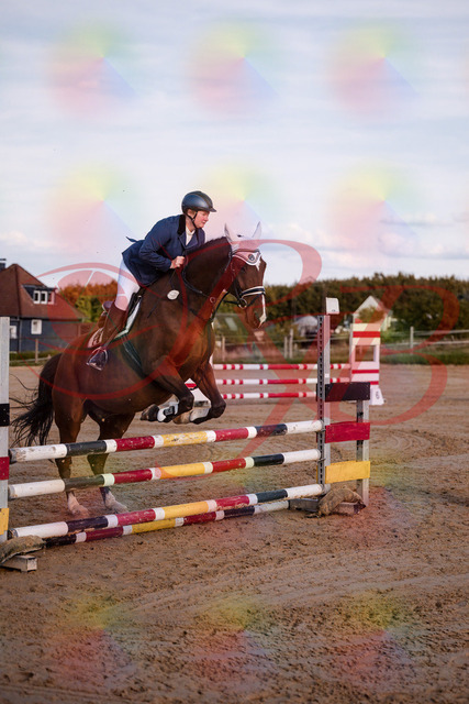 2026_10_03_Siefer-Hof_170340_Z81_00367175 | Professionelle Reitsport-, Turnier- und Eventfotografie von Robert Broda. Galerien mit ausgewählten und bearbeiteten Bildern direkt online ansehen und bestellen.
