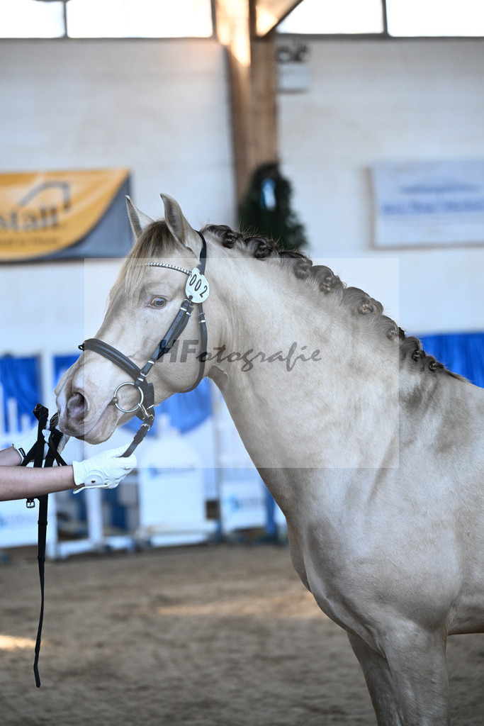 Kat-Nr. 2 Bonito Salazar v. Trianero PT_Abfalter GmbH _ Co. KG_9260027 | hf-fotografie - Realisiert mit Pictrs.com