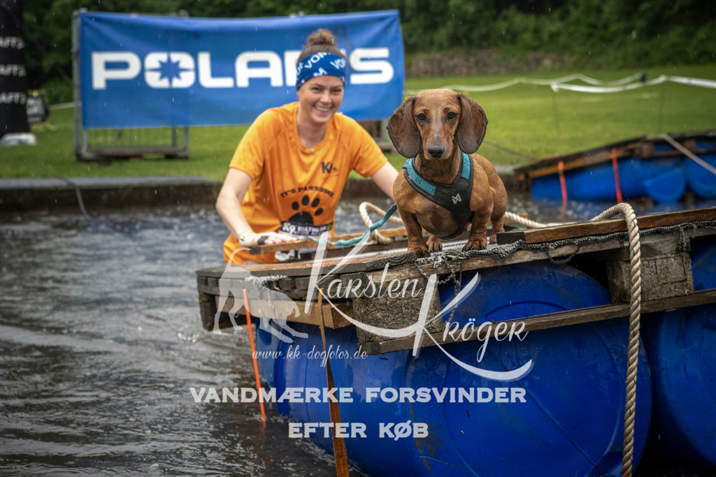 1412_ZZ99374 | kk-dogfotos