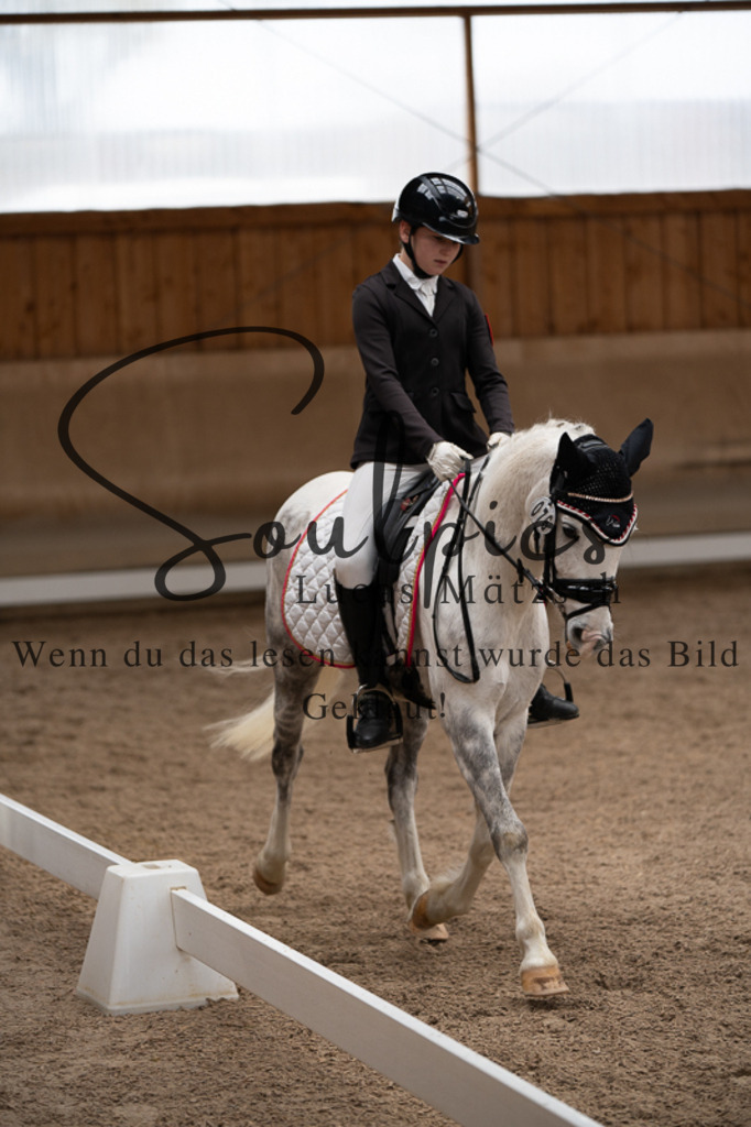 A7V02469 | Pferdefotograf