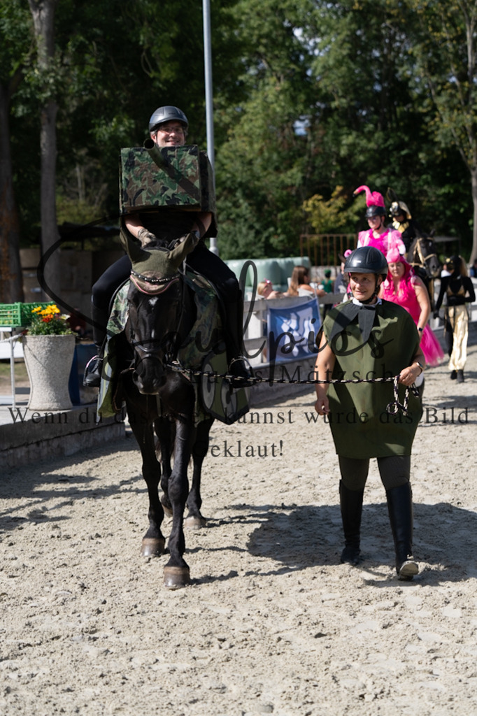 A7V07483 | Pferdefotograf