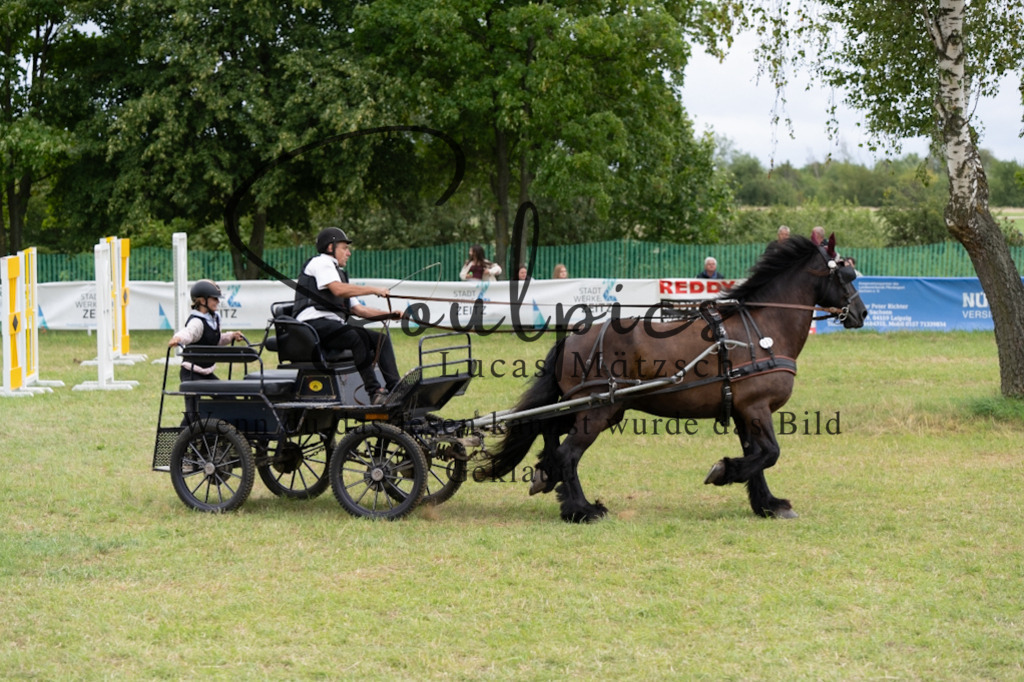 A7V06134 | Turnier/Reitfotograf