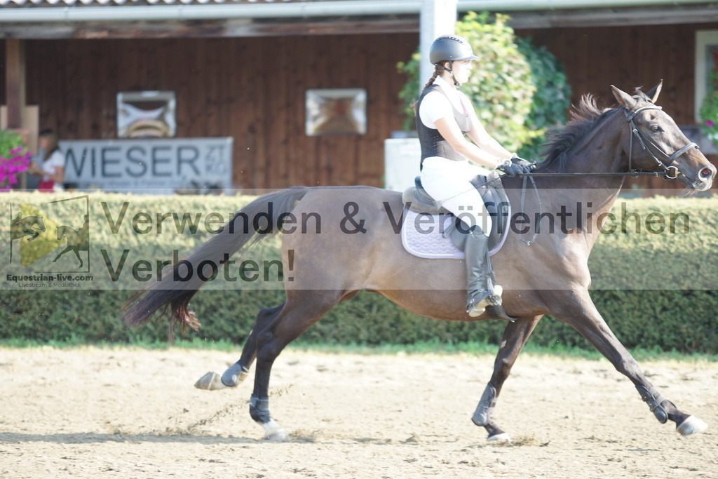 DSC02773 | equestrian-live-com