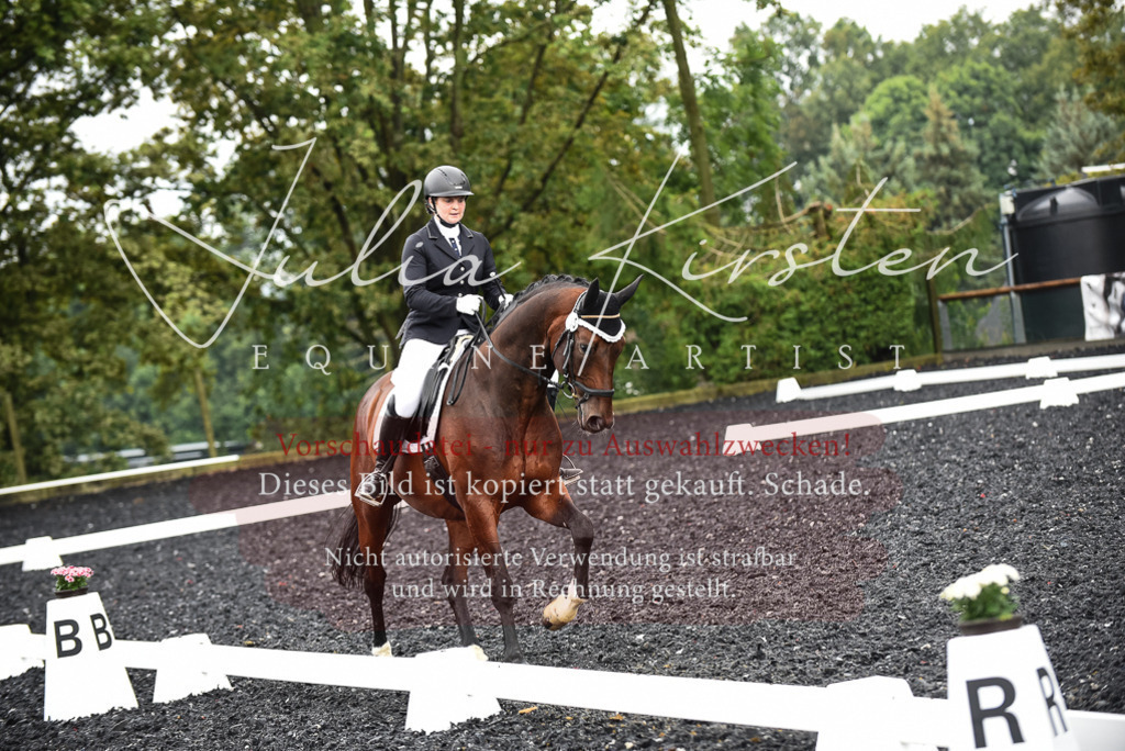 DSC_2711 | Pferde- und Turnierfotografie in Westsachsen. Pferdeportraits, Auftragszeichnungen und intuitive Kunst.