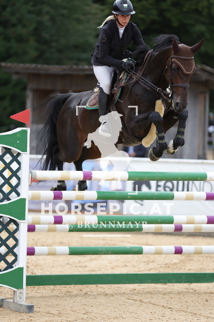 0P6A6132 | Willkommen bei Brunnmayr - Design & Fotografie – Ihrem Spezialisten für Reitturniere und Pferdeveranstaltungen in Oberösterreich, Salzburg und Bayern! Seit über 17 Jahren sind wir leidenschaftlich dabei.