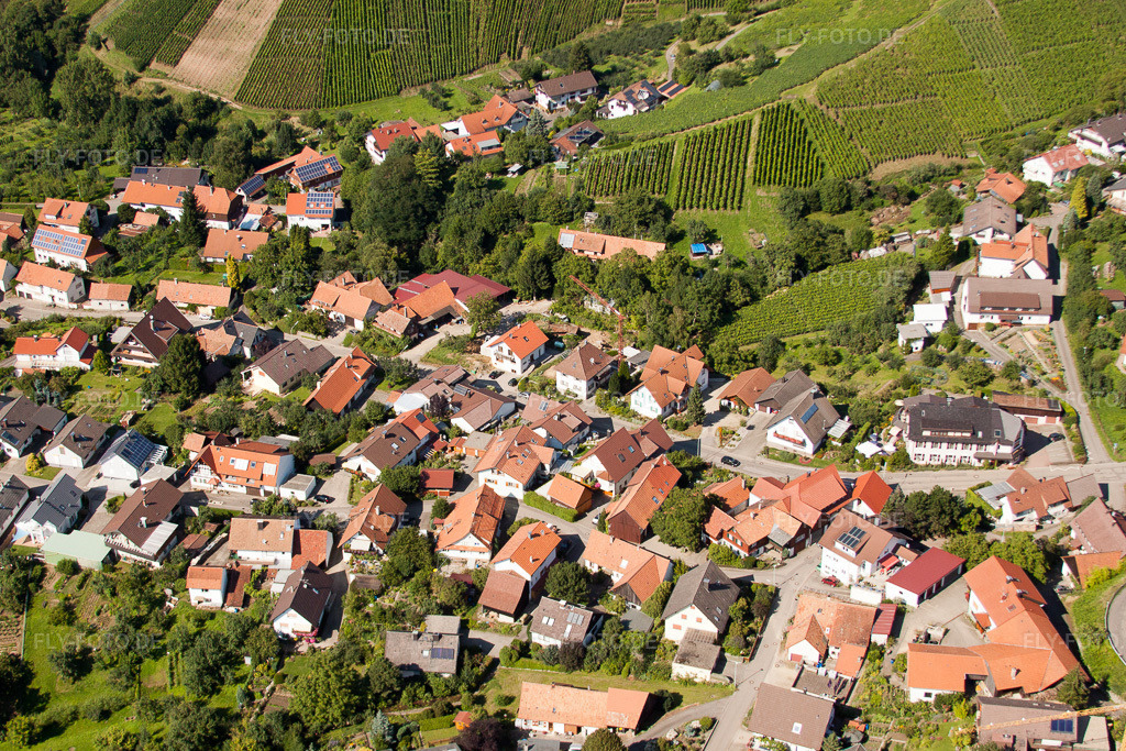 Luftbild: Bühl-Kappelwindeck im Ortsteil Riegel in Bühl im Bundesland Baden-Württemberg in Deutschland. Foto: IMG_31439.jpg vom 09.08.2010 durch Werner Riehm/FLY-FOTO.de
