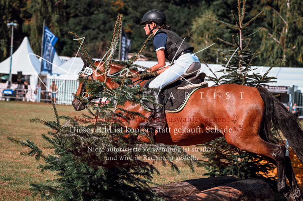 DSC_0982 | Pferde- und Turnierfotografie in Westsachsen. Pferdeportraits, Auftragszeichnungen und intuitive Kunst.