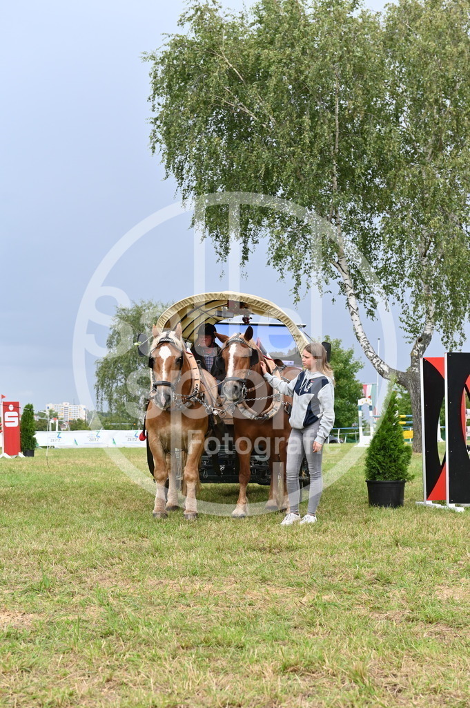 DSC_4574 | sattelsport - Realisiert mit Pictrs.com