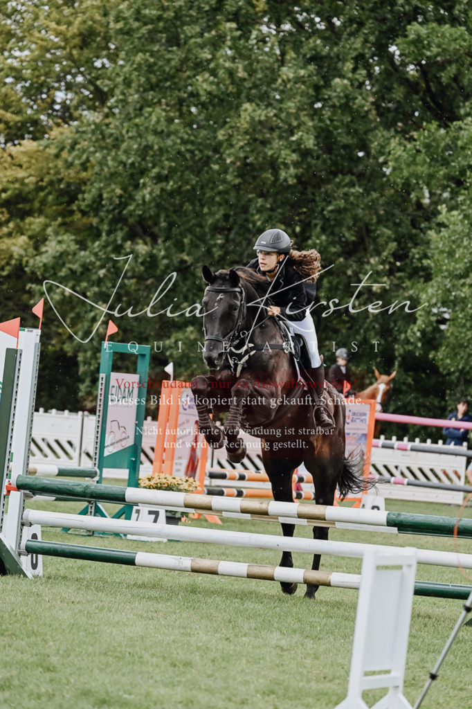 DSC_6843 | Pferde- und Turnierfotografie in Westsachsen. Pferdeportraits, Auftragszeichnungen und intuitive Kunst.