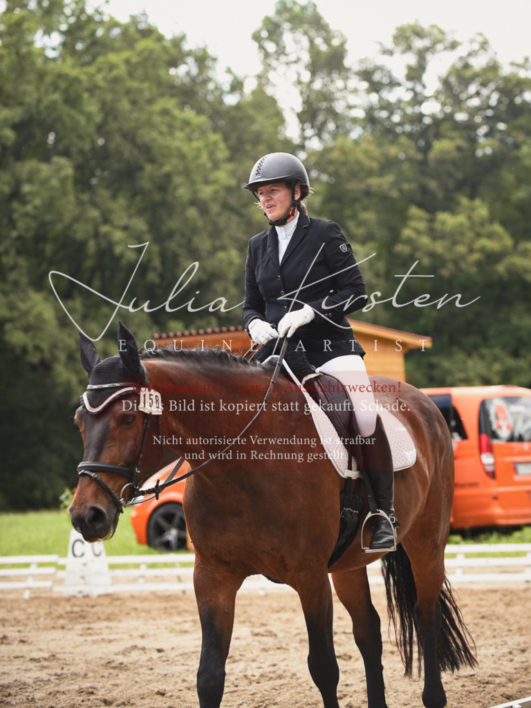DSC_0806 | Pferde- und Turnierfotografie in Westsachsen. Pferdeportraits, Auftragszeichnungen und intuitive Kunst.