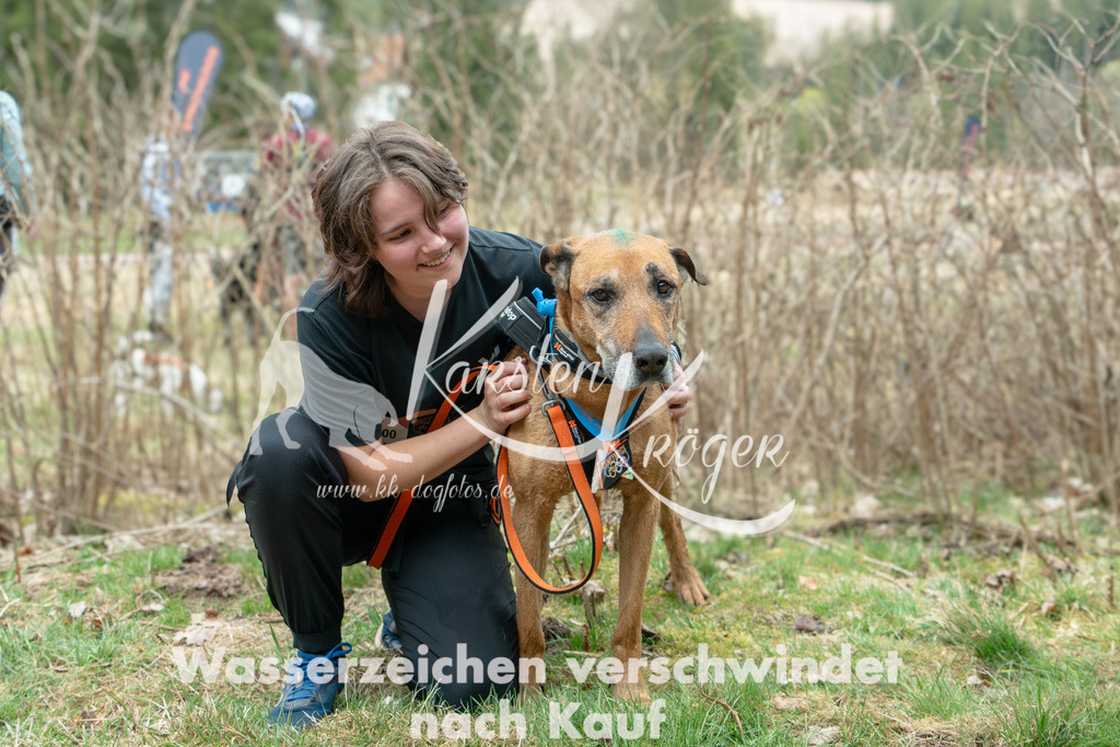0913DZ6_1936 | kk-dogfotos