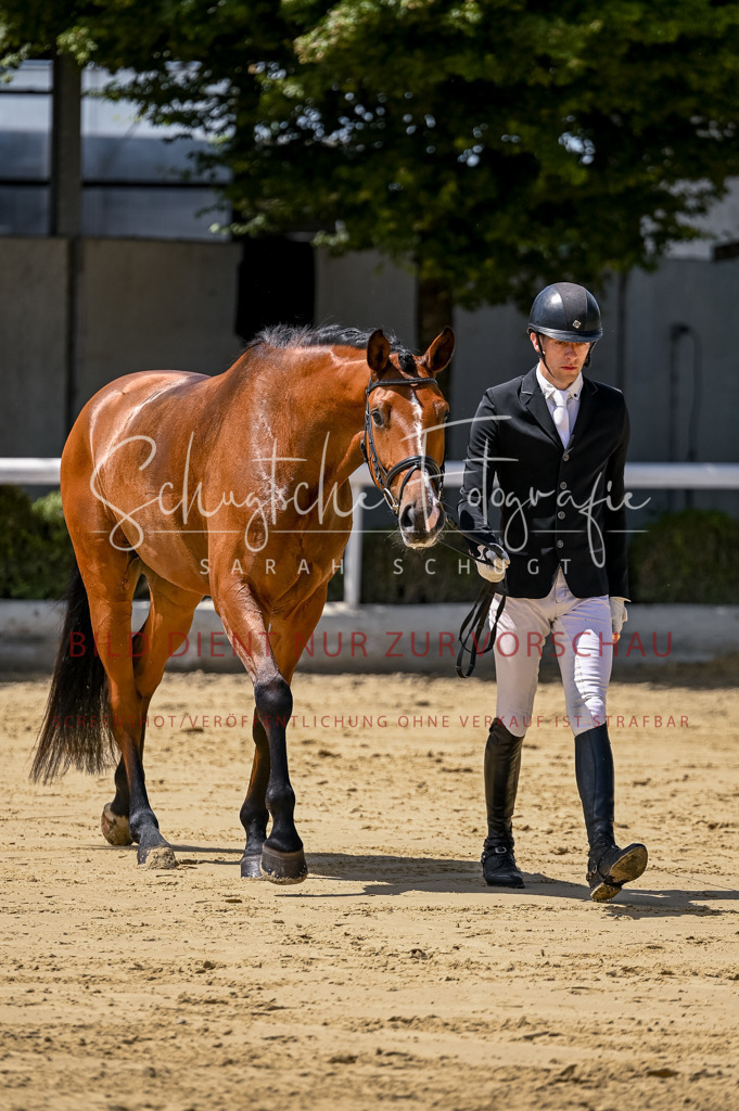 Schugtsche-Aluta25-48.Reitpferfdeprf.-248 | Schugtsche Fotografie - Realisiert mit Pictrs.com