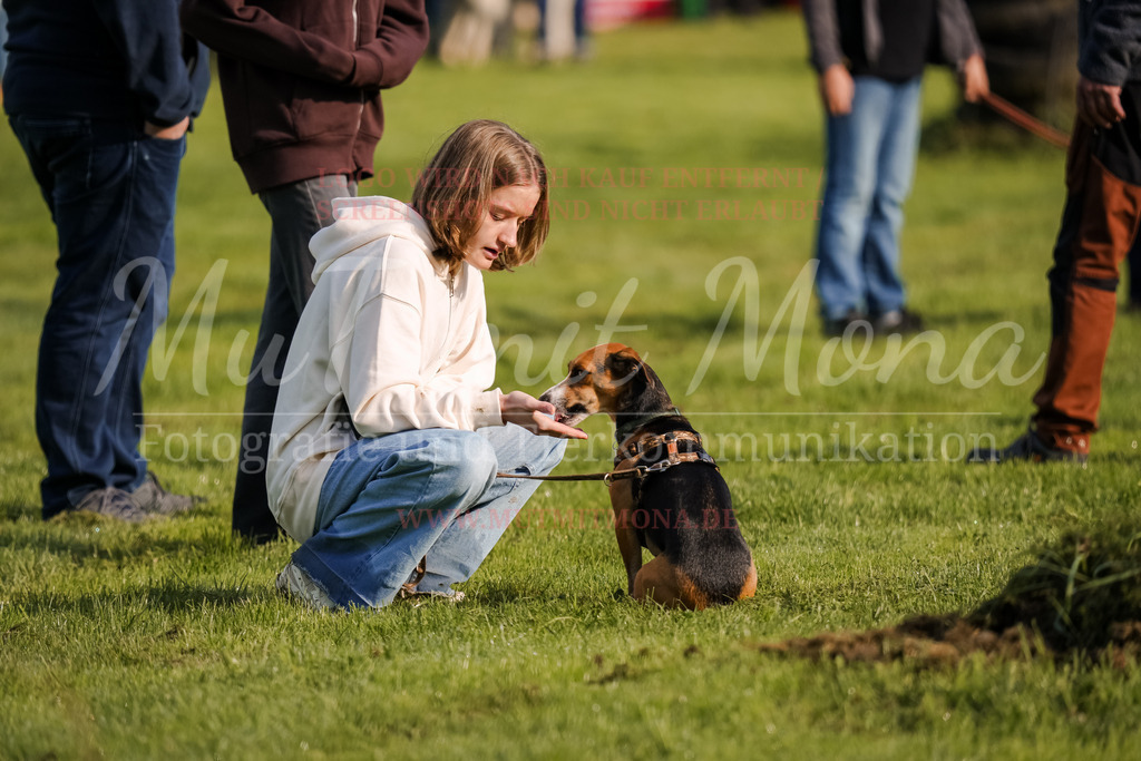 20250928_Hunderennen-12 | MuT (Mensch und Tier) mit Mona - Fotografie und Tierkommunikation - Realisiert mit Pictrs.com