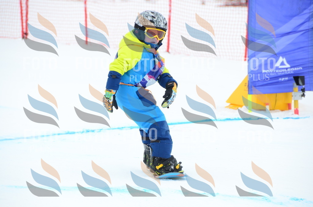 DSC_2497 | holidayphoto