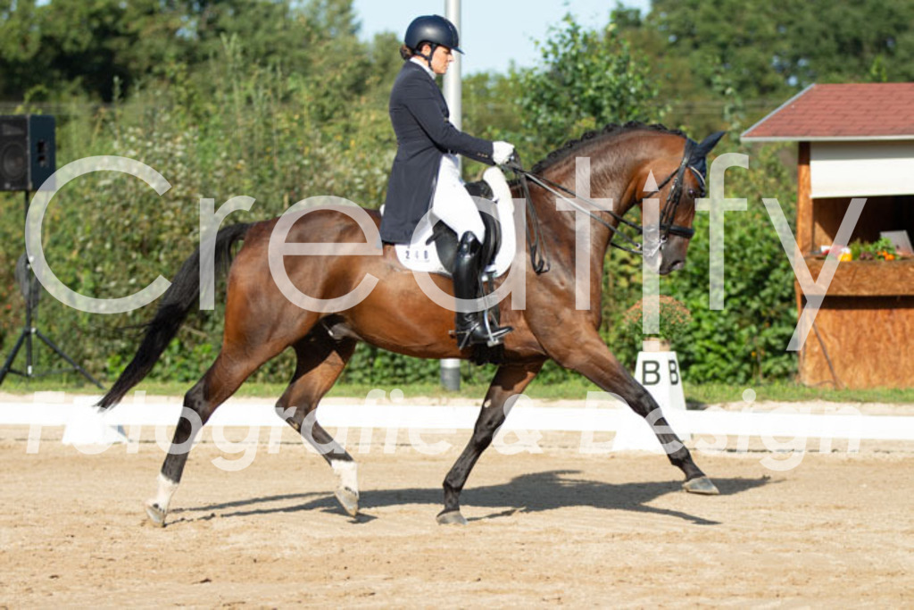 IMG_5651 | Creatify Fotografie