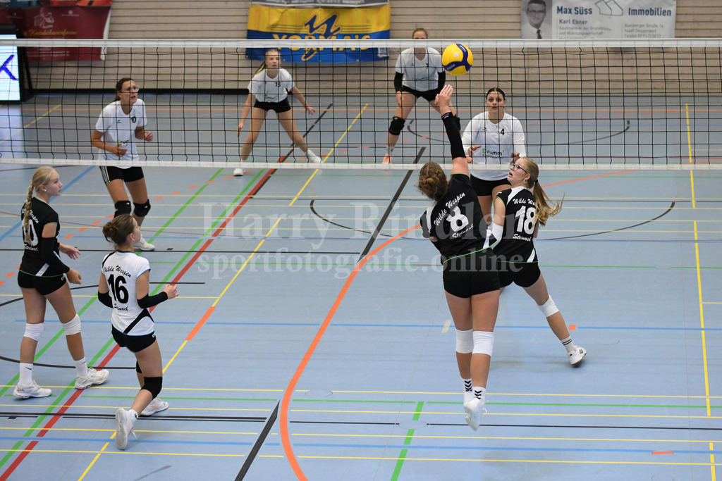 TSV Deggendorf Damen : Wilde Wespen Steinach | TSV Deggendorf Damen : Wilde Wespen Steinach - Realisiert mit Pictrs.com