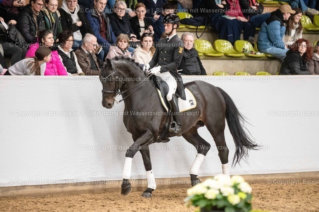 20260307_Hengstvorstellung-Marbach_0467 | equistock