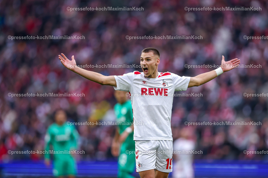 Koe09112402208 | 09.11.2024, 1. FC Köln - SpVgg Greuther Fürth, 2. Fußball Bundesliga, RheinEnergieSTADION, Saison 2024 2025: Tim Lemperle (1.FC Köln #19) steht gestikulierend Gestim Mimik unzufrieden auf dem SpielfeldDFB regulations prohibit any use of photographs as image sequences and or quasi-video.