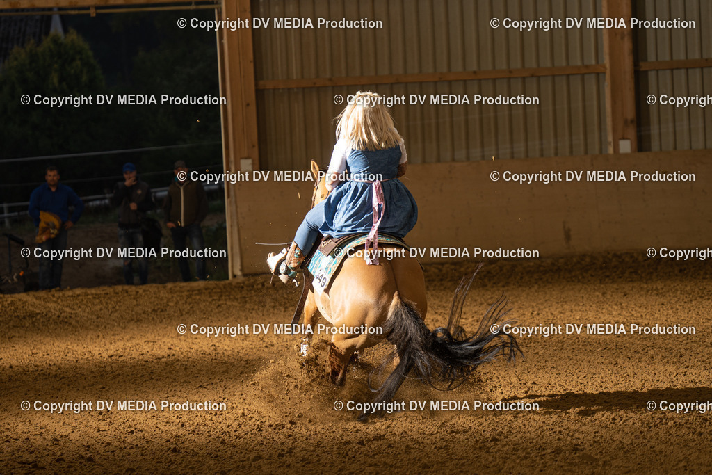 LAU01138 | dv-media-shop - Realisiert mit Pictrs.com