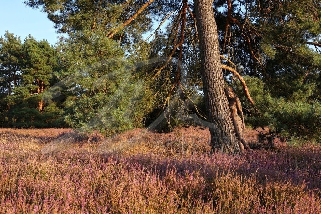 NatureArt-HEIDEBÄUME_0133a | Angelehnt am Heidebaum | #003 | Modell: Tina | Foto: Alexander Große-Strangmann - Realisiert mit Pictrs.com