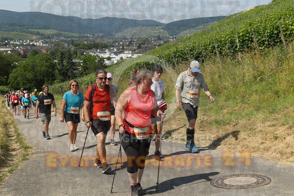 230617_1108_EV9_7687 | Sportfotografie im Rhein-Sieg Kreis, Köln, Bonn, NRW, Rheinland Pfalz, Hessen, etc. Unser Tätigkeitsfeld umfasst den Laufsport vom Volkslauf über den Marathon, Duathlon, Triathon bis zum Ultralauf wie Kölnpfad Ultra oder Schindertrail.
