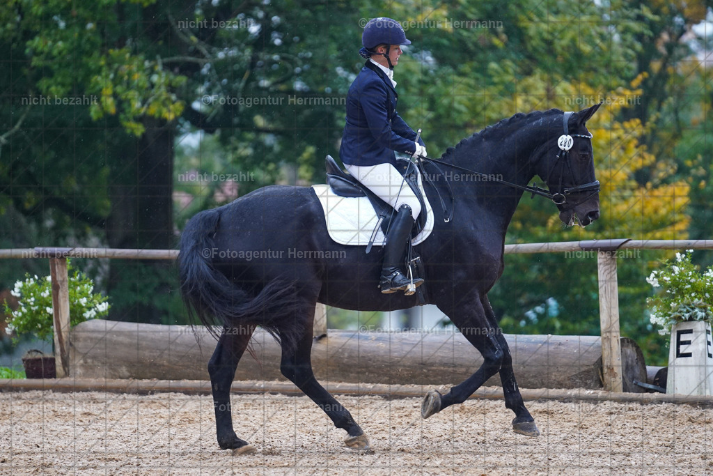 20221008-FAH02181 | Diessen am Ammersee, 2022, Dressur- und Springturnier, Reitsportbilder, Turnierfotografen Bayern, Pferdefotografen, Fotoagentur Herrmann, Turnierbilder