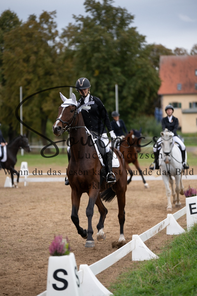 A7V05443 | Pferdefotograf