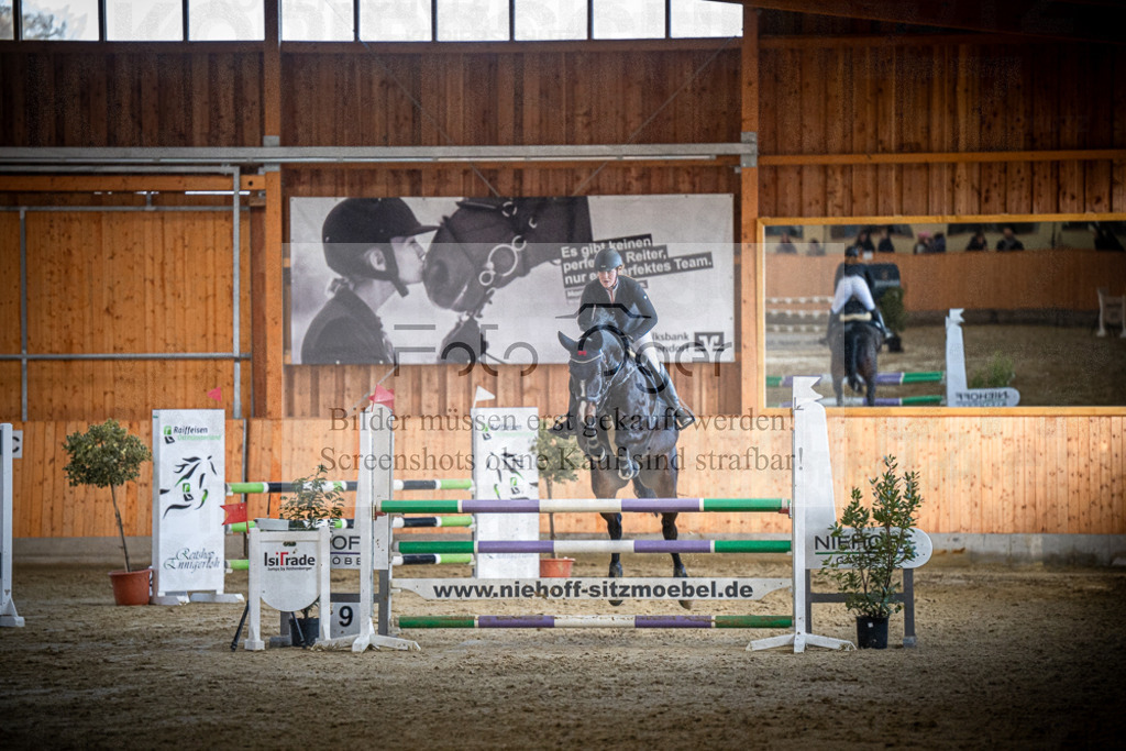 DOS_1180 | Entdecke hochwertige Reitturnierfotos von Foto Oger. Professionell, emotional und authentisch – jetzt Lieblingsmomente im Shop bestellen.Deutschlandweite Turnierfotografie. - Realisiert mit Pictrs.com