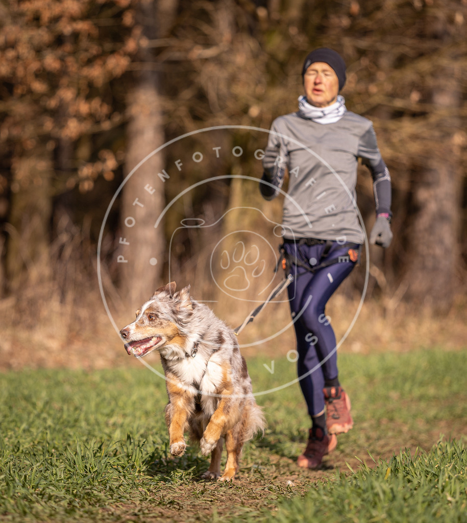 DV3A6436 | Hundefotografie, Tierfotograf, Pfotenfotografie, Fotoshooting Hund, Hunde Portrait, Hundesport, Hundeportraits, Heideshooting, Hunde, Sportfotograf, Hundefotograf, Turnierhundsport, THS,  - Realisiert mit Pictrs.com