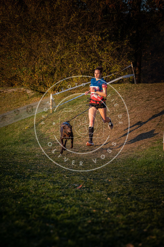 CaniXpix_0L8A1731 | Hundefotografie, Tierfotograf, Pfotenfotografie, Fotoshooting Hund, Hunde Portrait, Hundesport, Hundeportraits, Heideshooting, Hunde, Sportfotograf, Hundefotograf, Turnierhundsport, THS,  - Realisiert mit Pictrs.com