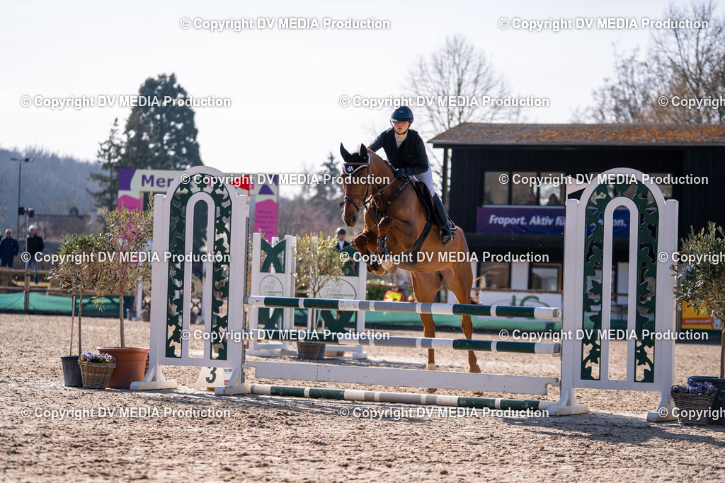 Kranichstein Tag 1-285 | dv-media-shop - Realisiert mit Pictrs.com