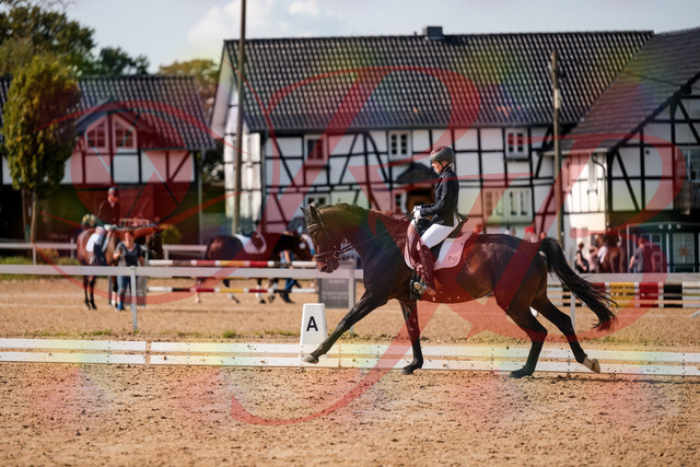 2026_10_03_Siefer-Hof_133656_Z63_98784054 | Professionelle Reitsport-, Turnier- und Eventfotografie von Robert Broda. Galerien mit ausgewählten und bearbeiteten Bildern direkt online ansehen und bestellen.