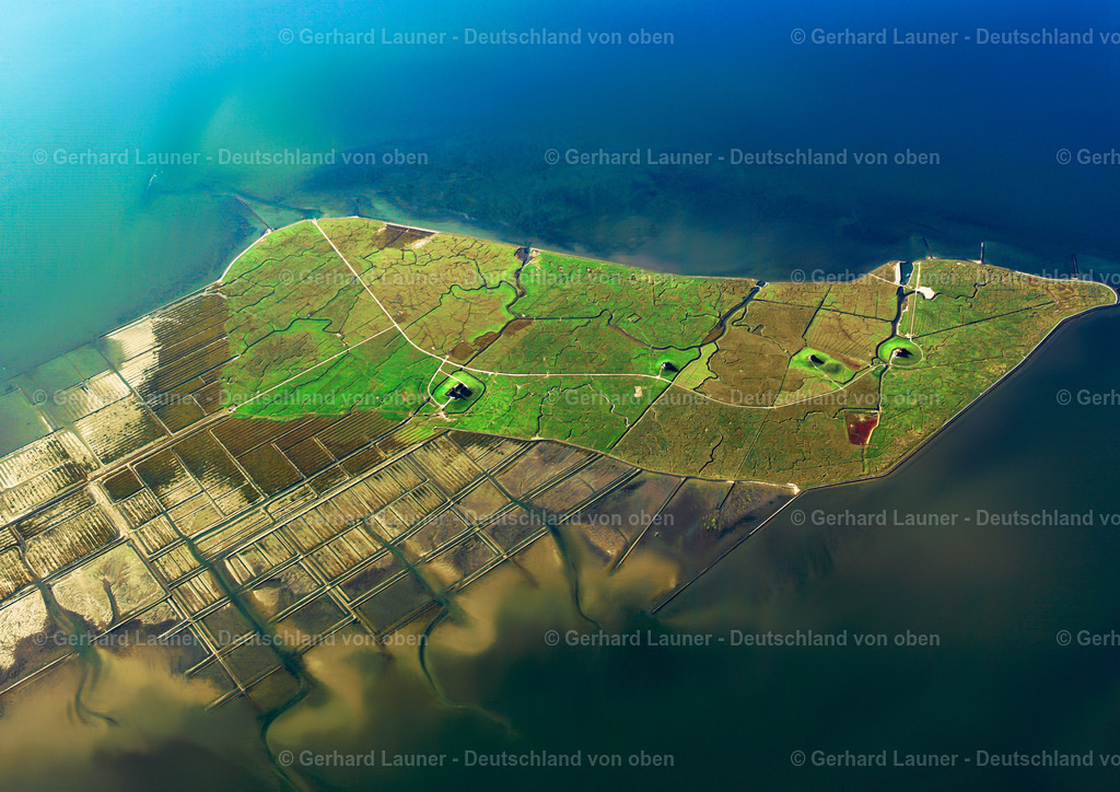 2581290 | NORDSTRANDISCHMOOR 26.07.2005 Grasflächen- Strukturen einer Hallig- Landschaft in der Nordsee in Nordstrandischmoor im Bundesland Schleswig-Holstein, Deutschland. // Green space structures a Hallig Landscape in the North Sea in Nordstrandischmoor in the state Schleswig-Holstein, Germany. Foto: Gerhard Launer