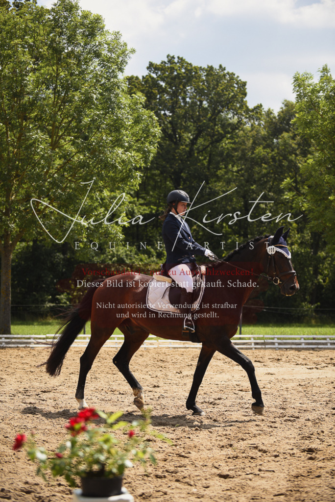 DSC_0977 | Pferde- und Turnierfotografie in Westsachsen. Pferdeportraits, Auftragszeichnungen und intuitive Kunst.