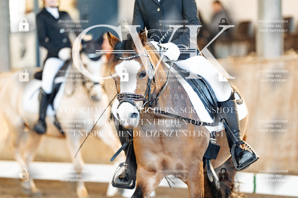 CK907497 | Turnierfotografie Pferdefotografie Trier Rheinland-Pfalz Pferdesport Reitsport Tierfotografie Sportfotografie Pferdevideo Pferdevideografie Equestrianvideography equestrianphotography  - Realisiert mit Pictrs.com