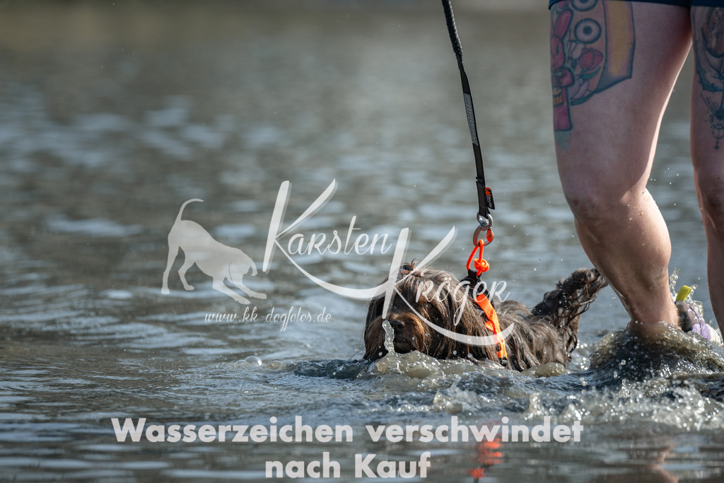 1257_ZZ93139 | kk-dogfotos