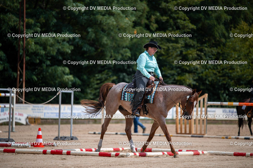 ZS2_3765 | dv-media-shop - Realisiert mit Pictrs.com