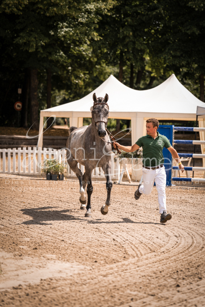 1.Fr00019 | Leoni Ertmer Photography - Realisiert mit Pictrs.com