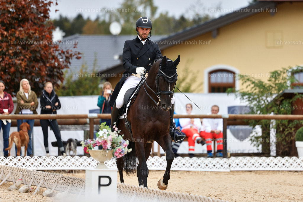 8_1-045-Klasse S_  -StoibPH-3799 | working equitationturnier fotograf videograf stoibphotography marixx film working equitation deutschland reitsport turnierfotografie eventfotografie equestrian events