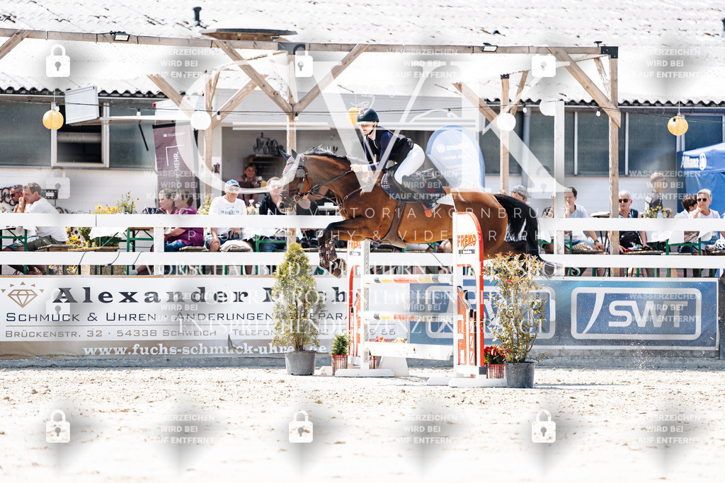 CK900116 | Turnierfotografie Pferdefotografie Trier Rheinland-Pfalz Pferdesport Reitsport Tierfotografie Sportfotografie Pferdevideo Pferdevideografie Equestrianvideography equestrianphotography  - Realisiert mit Pictrs.com