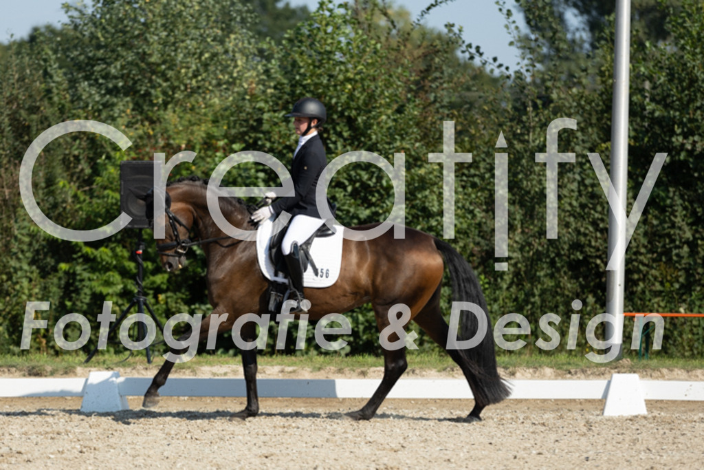 IMG_5974 | Creatify Fotografie