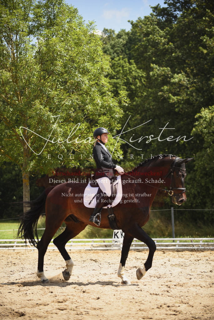 DSC_1194 | Pferde- und Turnierfotografie in Westsachsen. Pferdeportraits, Auftragszeichnungen und intuitive Kunst.