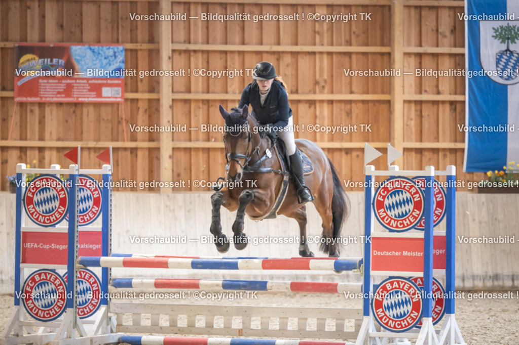 _D5A7790 | Emotionale Pferde- & People-Fotografie rund um Heidelberg, Leimen & Umgebung. Natürliche Fotos von Pferd, Mensch & Familie. Jetzt Termin sichern!