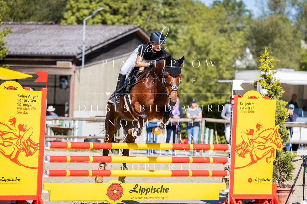 IMGS6792 | pl-fotografie