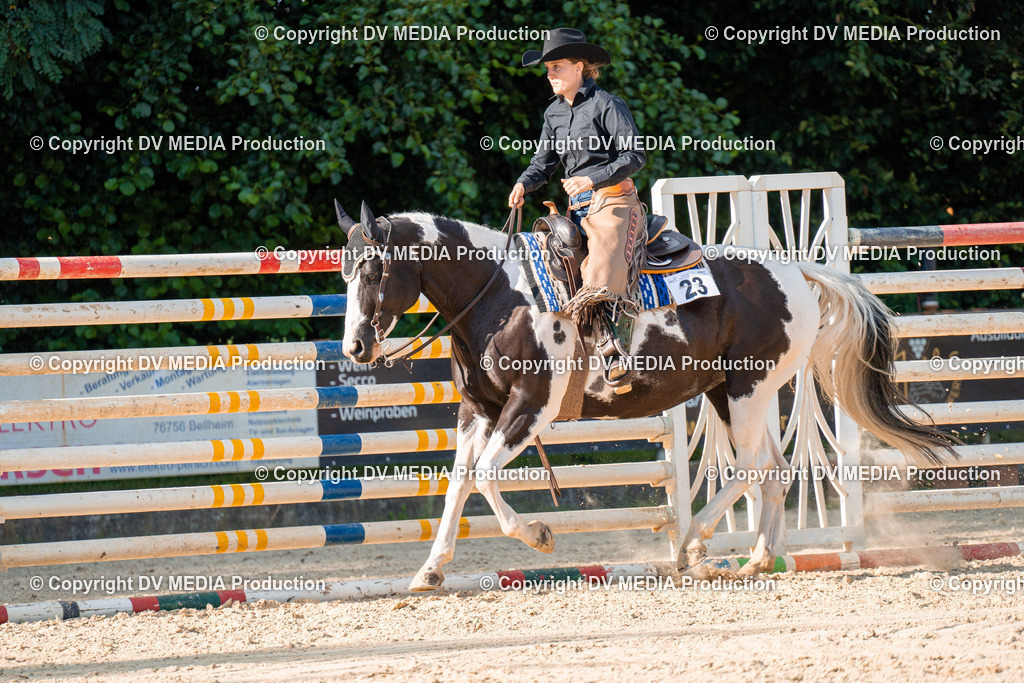 ZH100858 | dv-media-shop - Realisiert mit Pictrs.com