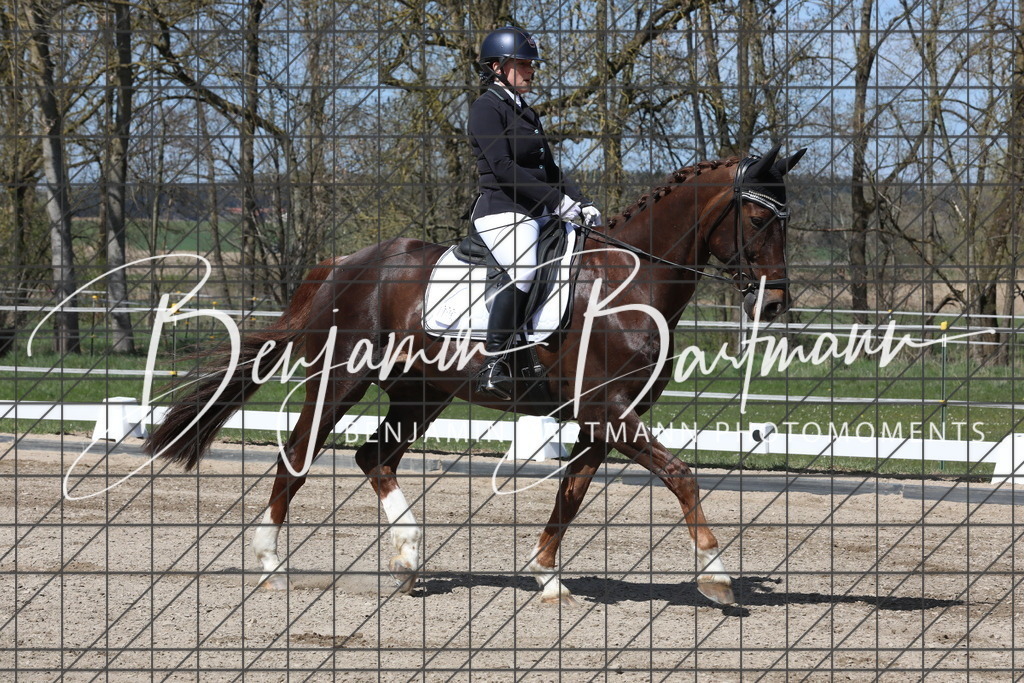 AZ2A4037 | Benjamin Bartmann Photomoments