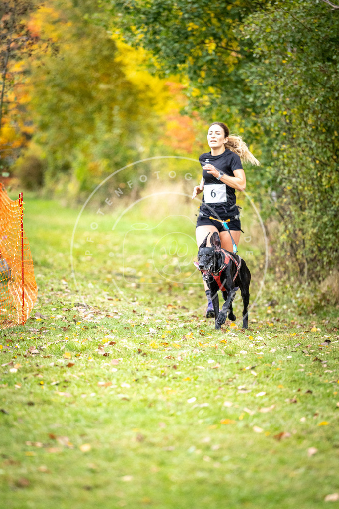 Pfotenfotografie_DV3A1717 | Hundefotografie, Tierfotograf, Pfotenfotografie, Fotoshooting Hund, Hunde Portrait, Hundesport, Hundeportraits, Heideshooting, Hunde, Sportfotograf, Hundefotograf, Turnierhundsport, THS,  - Realisiert mit Pictrs.com